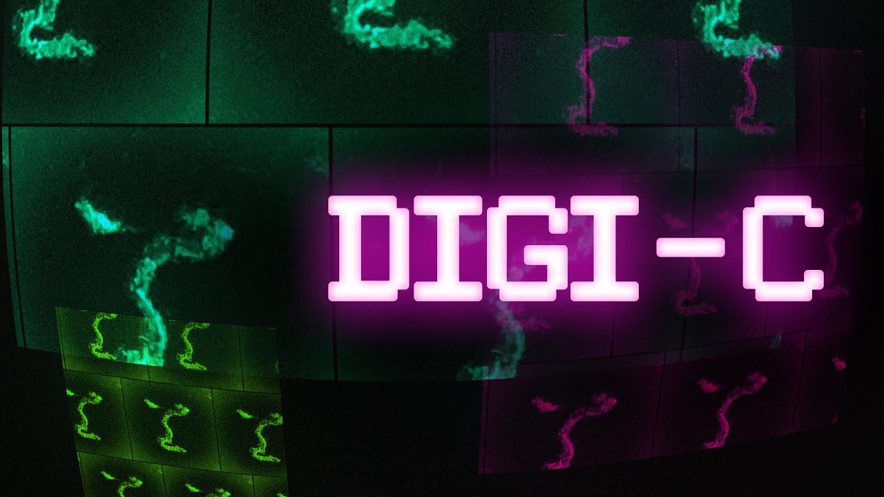 DIGI-C